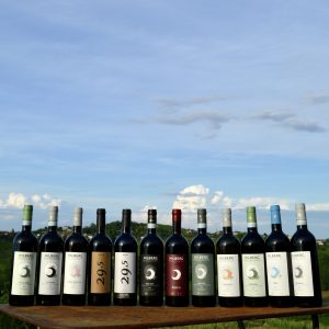 Discovery Subscription