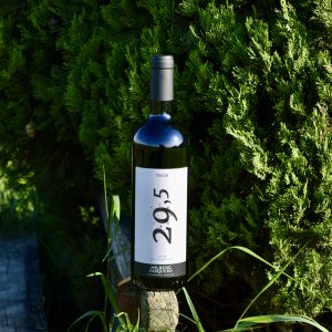 Wine Nebio - 29,5 (Copia)