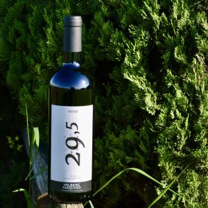 Wine Nebio - 29,5 2023