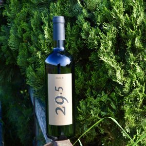Wine Side B - 29,5 | 2023